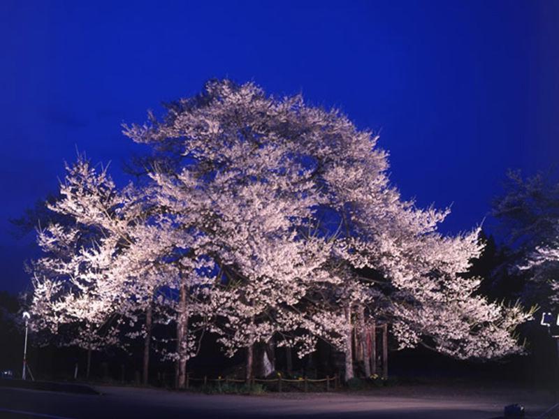 Onsen Minsyuku Akebonosou Morioka Luaran gambar