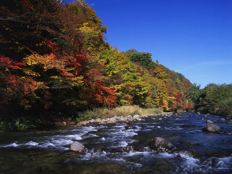 Onsen Minsyuku Akebonosou Morioka Luaran gambar