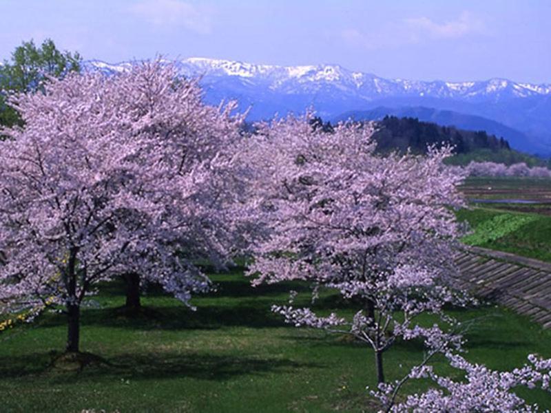 Onsen Minsyuku Akebonosou Morioka Luaran gambar